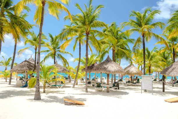 aruba verano 2026 / 2027 — miniatura 2