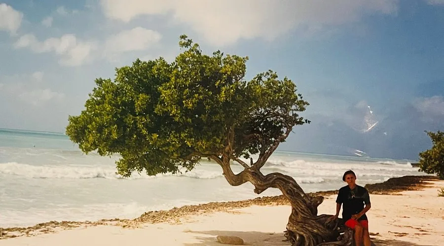 aruba – palm beach verano 2026 / 2027 — miniatura 2