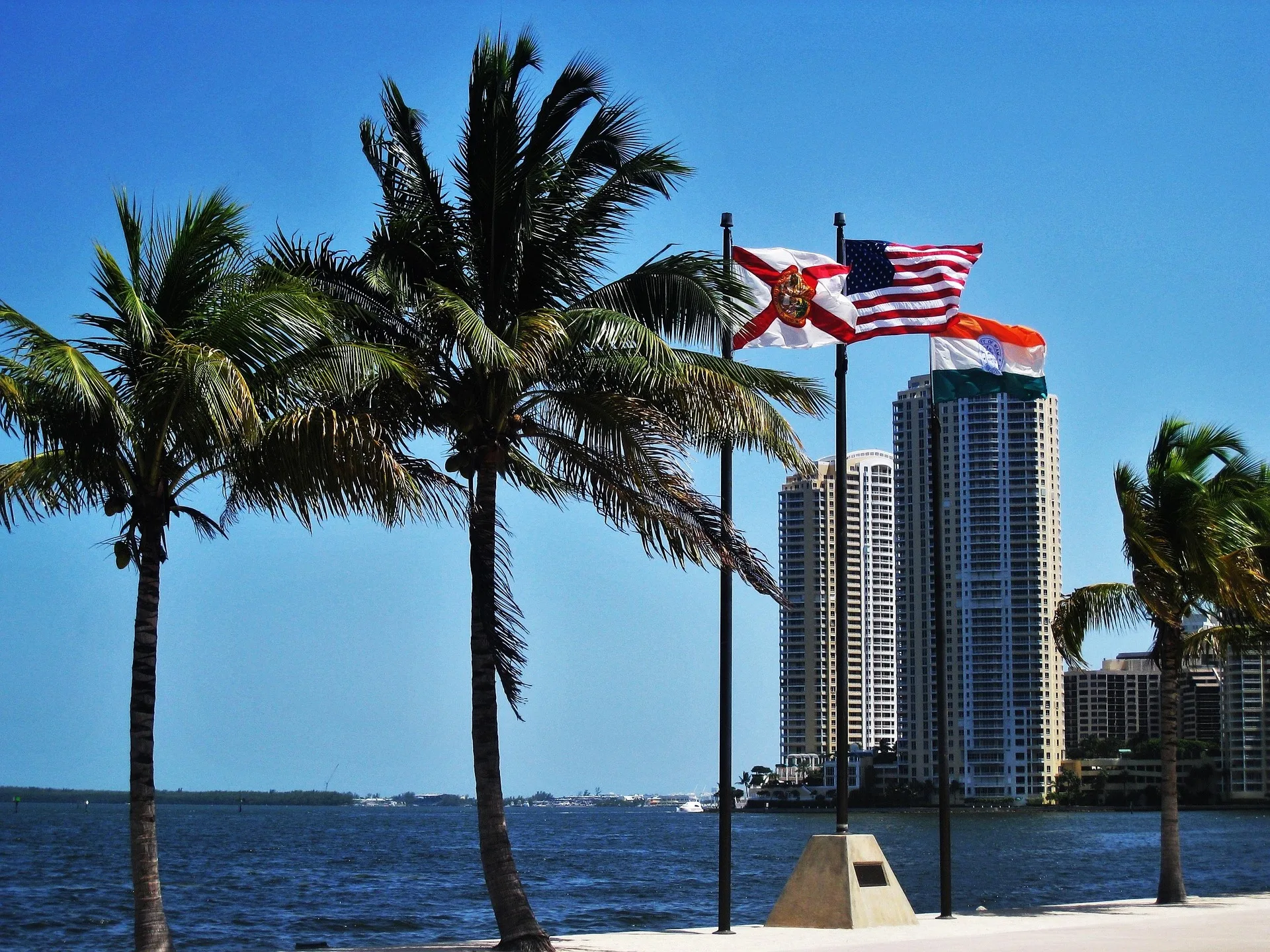 miami enero 2027 — miniatura 3