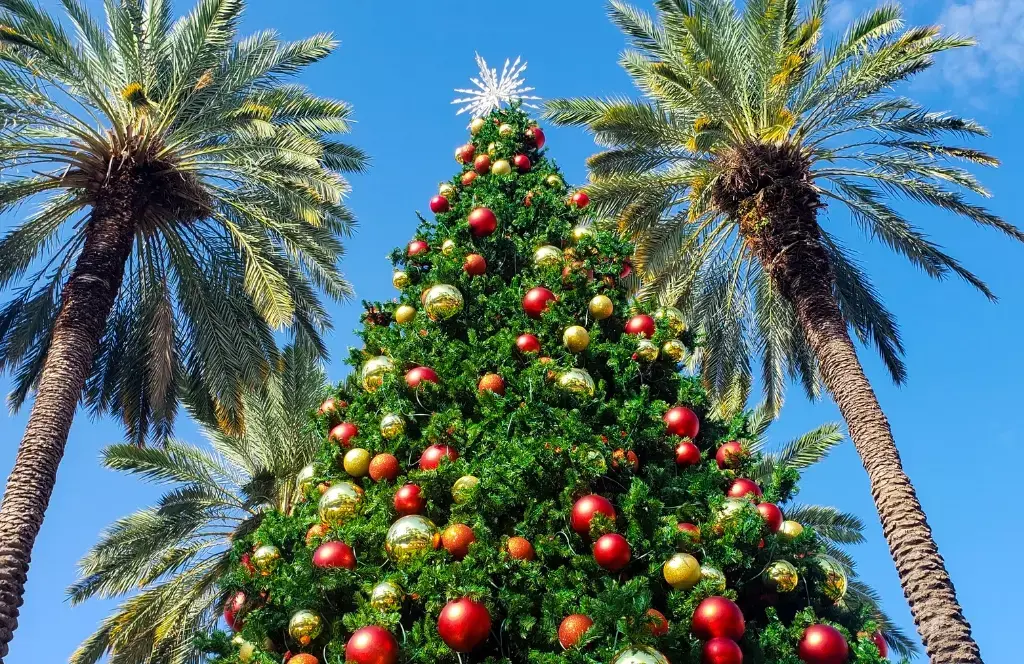miami – navidad en la florida — miniatura 4