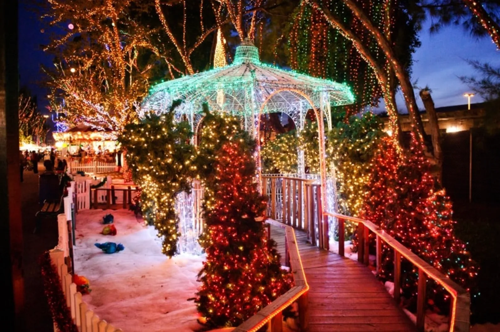 miami – navidad en la florida — miniatura 3