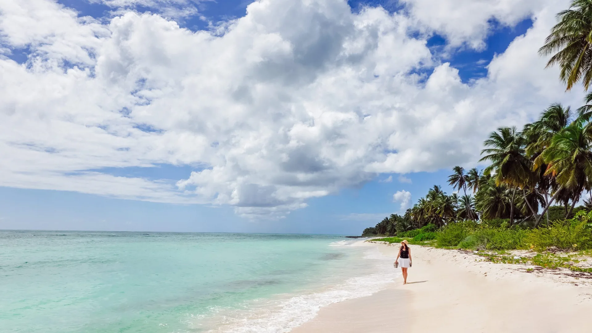 punta cana + bayahíbe verano 2026 / 2027 — miniatura 2