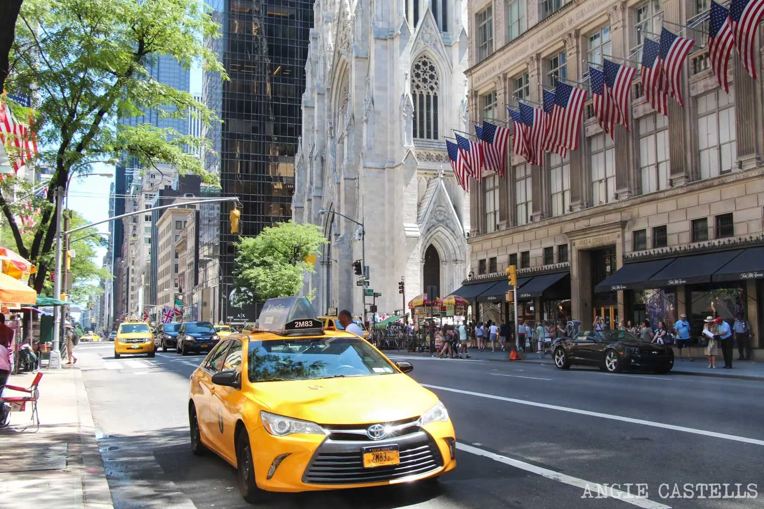 new york — miniatura 4